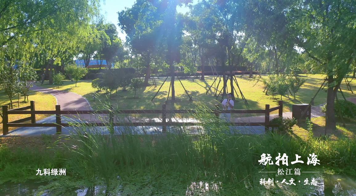 老年人手机铃声最新，科技与生活的融合之选