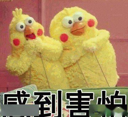 第1013页