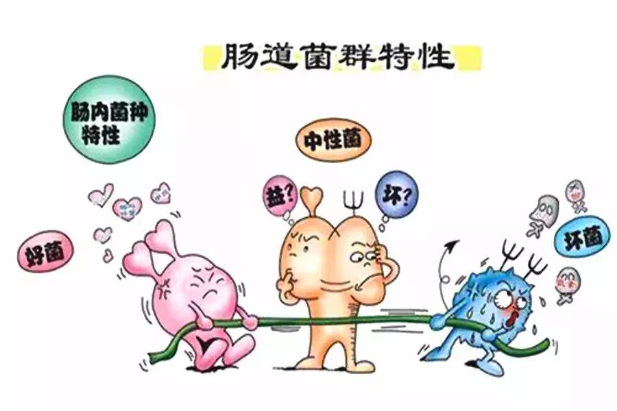 第852页