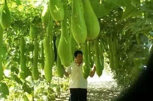 第839页