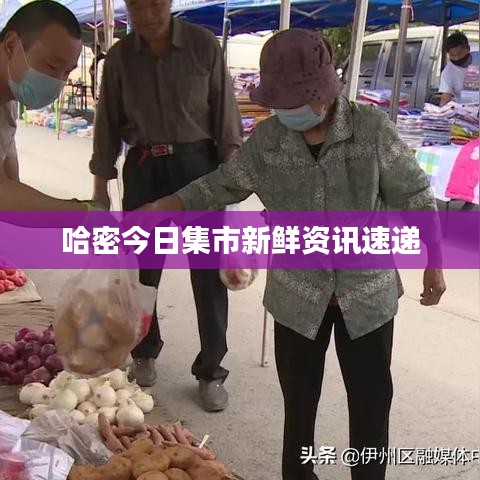 第519页