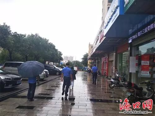 海南高速最新动态与小巷深处的独特风情小店