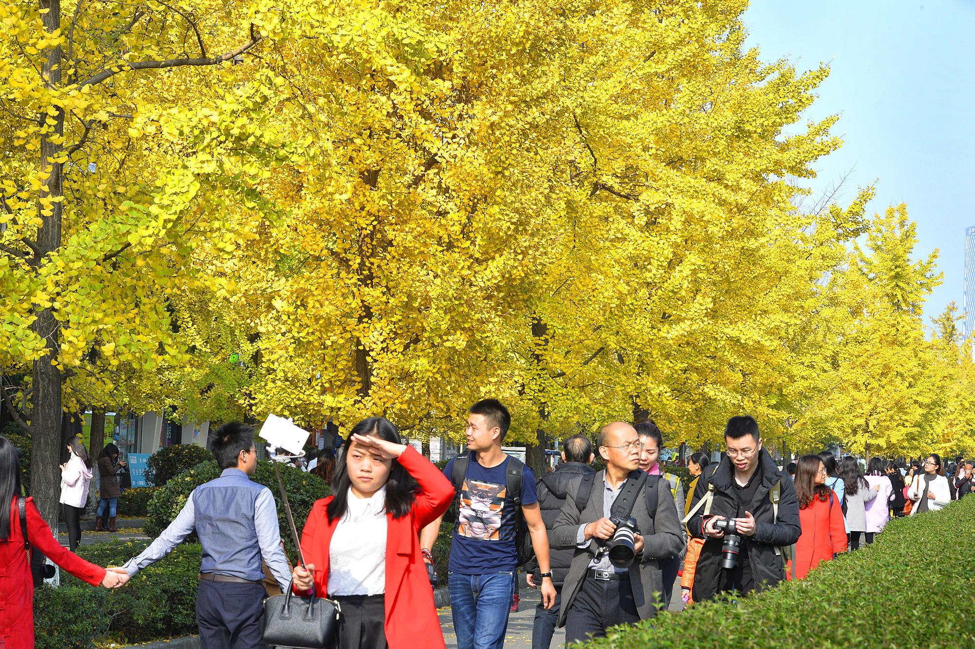 最新经典电影与鼓舞人心的自然美景探索之旅