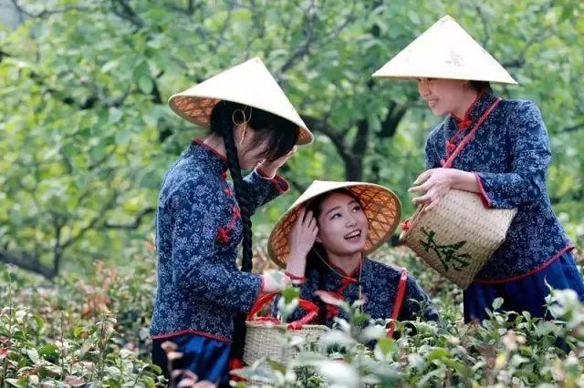 福银高速陕西段最新路况，实时更新，一路温馨记忆