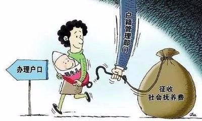 社会抚养费最新动态与小巷深处的特色小店探秘