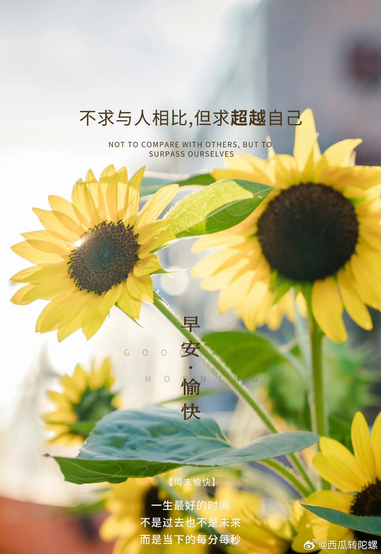 意林最新一期探索自然美景之旅，寻找内心的平和之地 2017年特辑